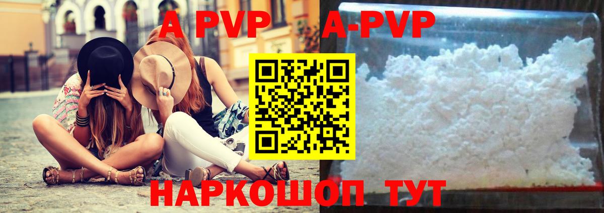 A PVP СК Братск