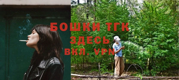 тгк Абаза