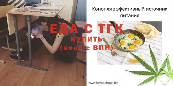 тгк Абаза