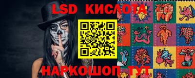 стафф Бердск