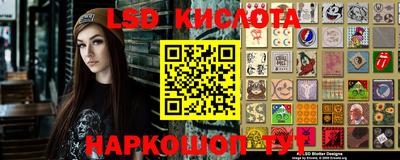 стафф Бердск