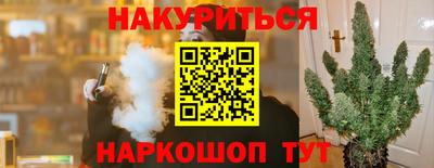 стафф Бердск