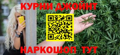 стафф Бердск