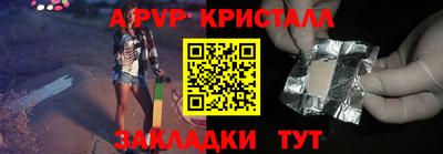 стафф Бердск