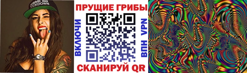 Псилоцибиновые грибы Magic Shrooms Братск