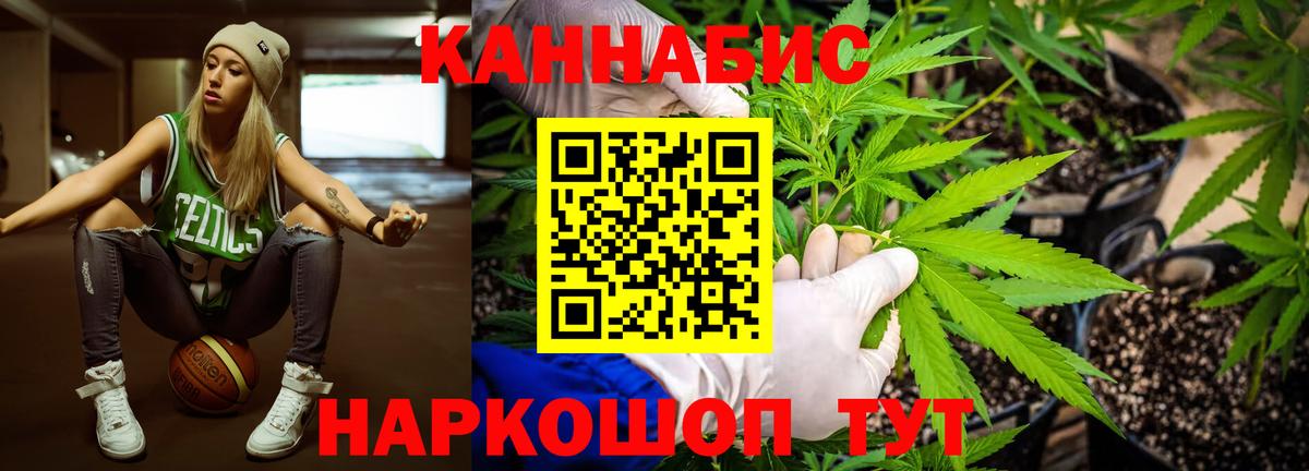 Шишки марихуана семена  Бошки Шишки Bruce Banner  Братск  Каннабис план  Вход с VPN 