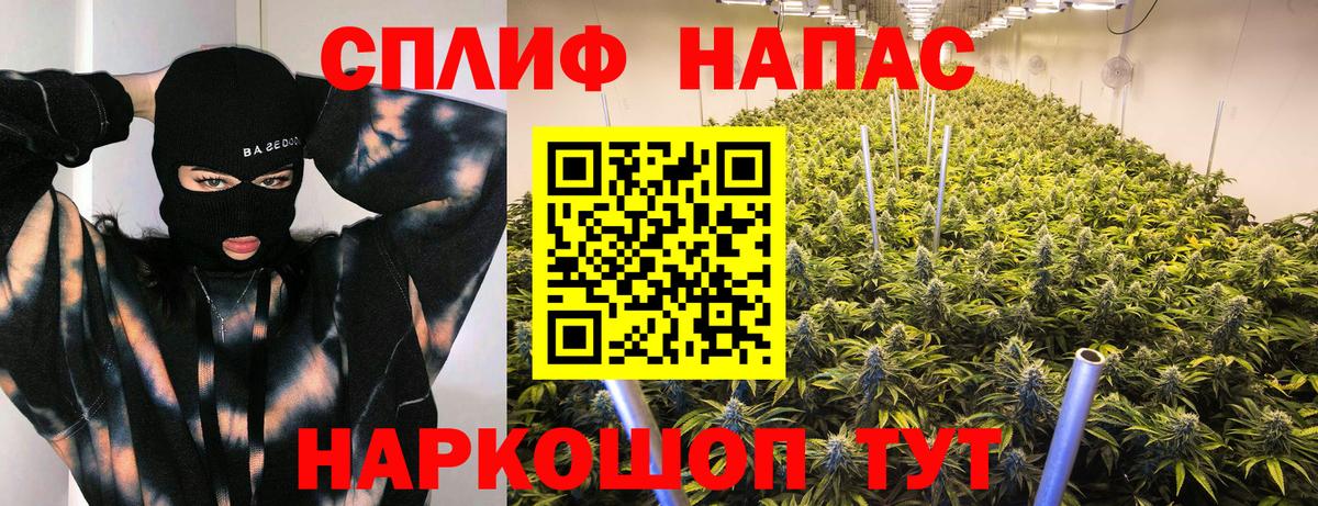 Конопля сатива Братск